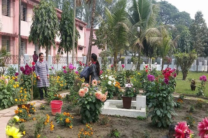 Kendriya Vidyalaya-School Garden Area