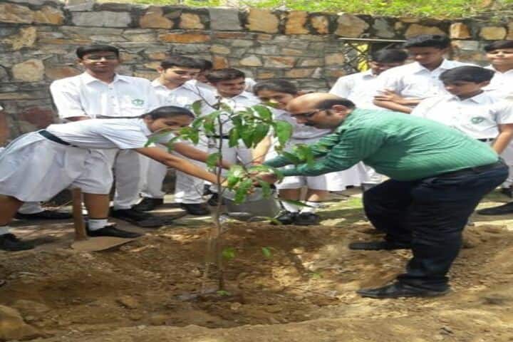 Delhi Public School-Tree Plantation
