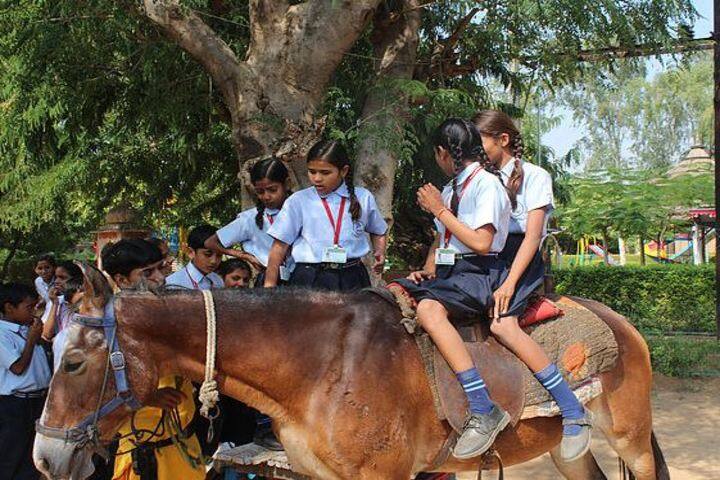 Dream International SchoolHorse Riding