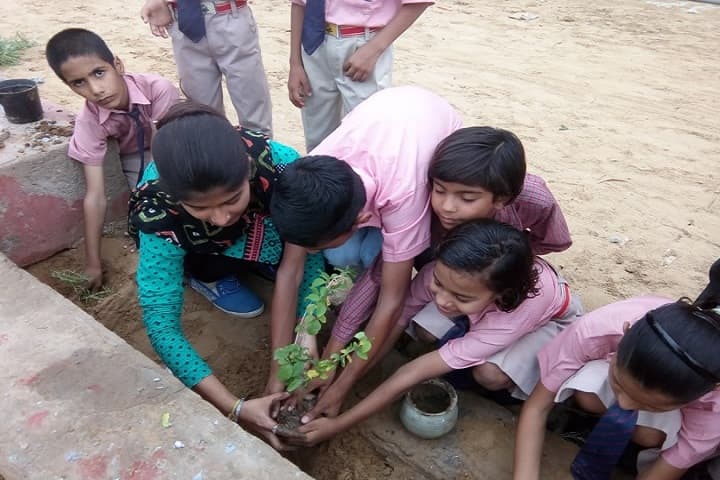 Global Indus Valley School-Planting