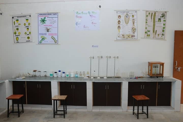 Global International Academy- Science lab