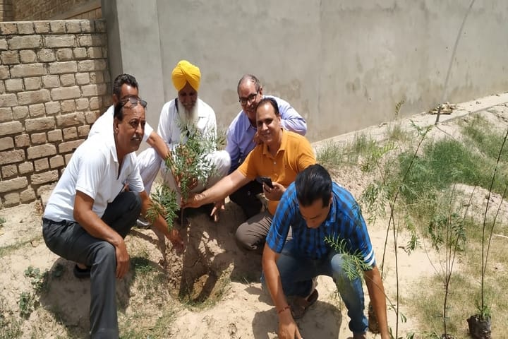 Guru Harkrishan Senior Secondary Public School-Tree plantation