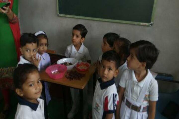 Indian Public School-Activity