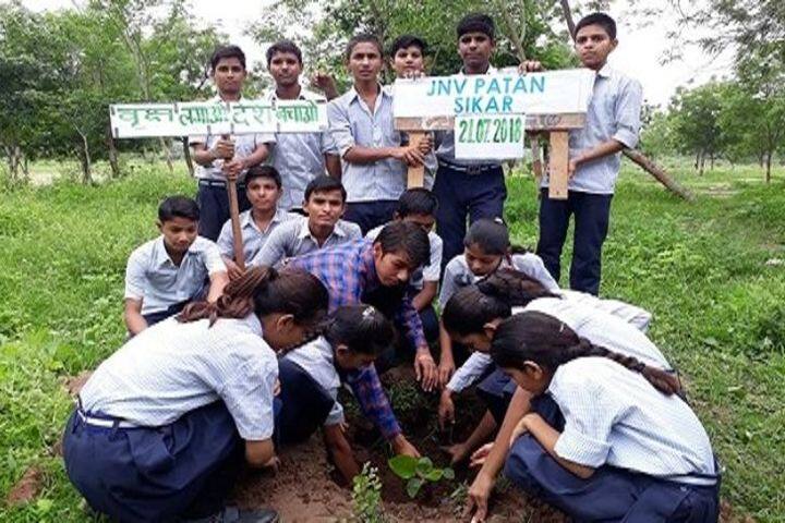 Jawahar Navodaya Vidyalaya-Plantation