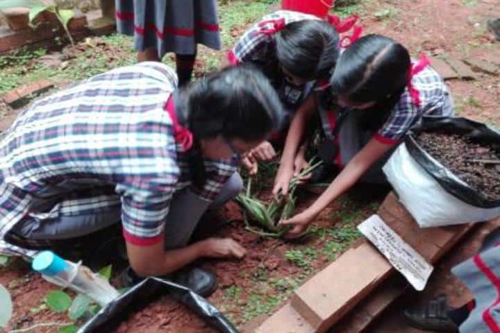 Kendriya Vidyalaya-Planting Tree