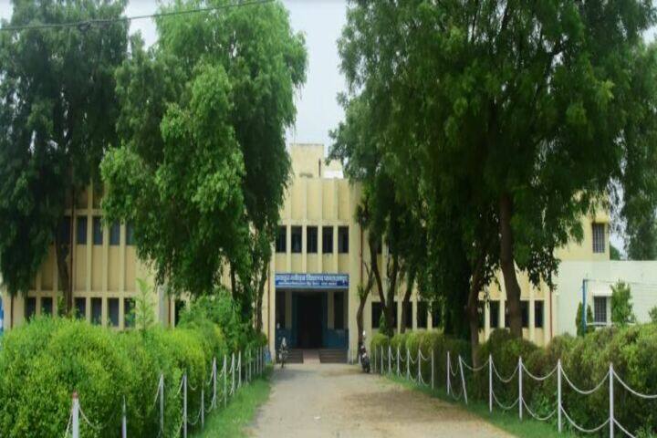 Jawahar Navodaya Vidyalaya-School View