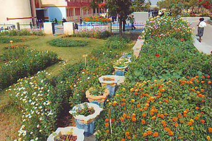 Kendriya Vidyalaya-School Garden