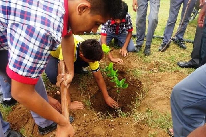 Kendriya Vidyalaya-Tree Plantation
