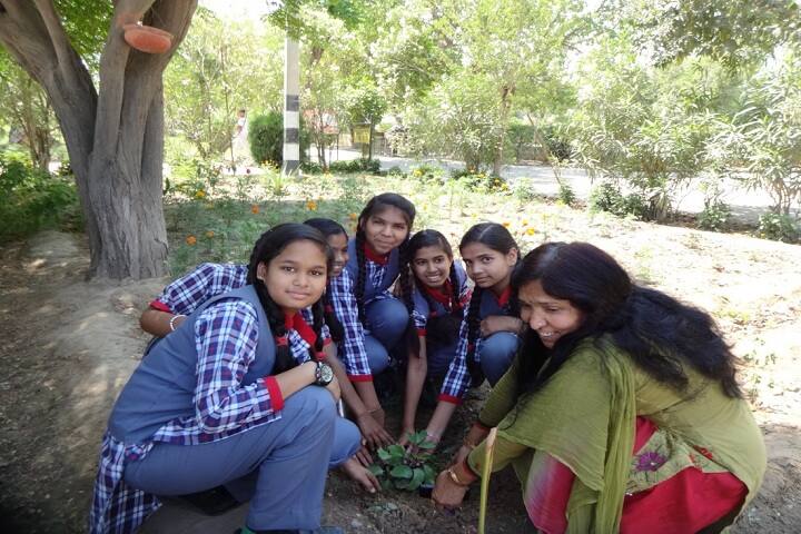 Kendriya Vidyalaya-Tree Plantation