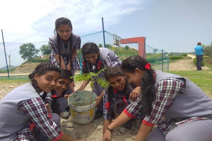 KENDRIYA VIDYALAYA-Tree Plantation