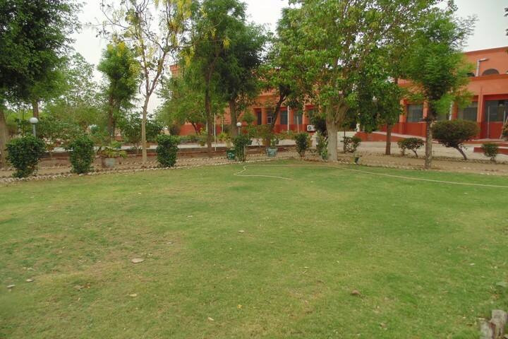 Kendriya Vidyalaya No 2-Garden