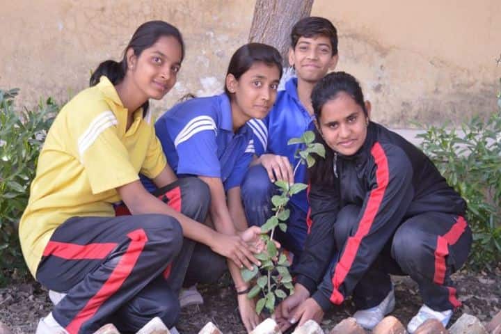 Lady Anusuya Singhania Educational Academy-Planting