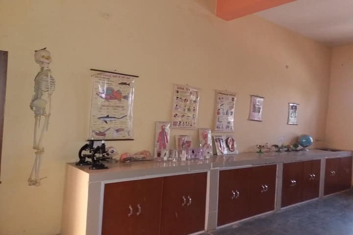 Master Meer Singh Memorial School-Chemsitry lab
