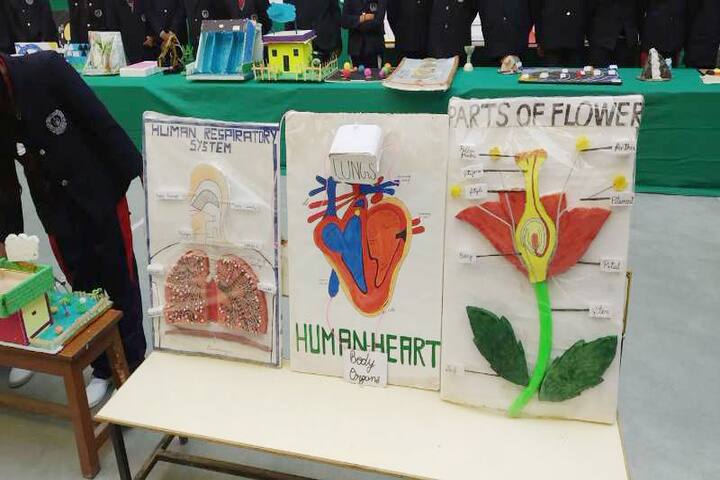 Mount Carmel Convent School-Science Fare