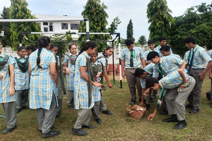 N K Public School-Cleaing the campus