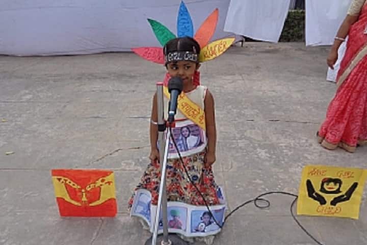 N K Public School-Fancy dress competitions