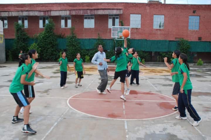 Nosegay Public School-Basket Ball court