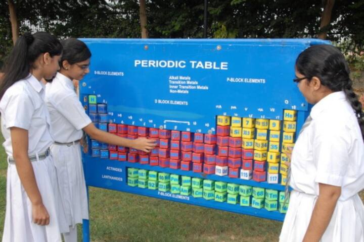 Nosegay Public School-Display Board