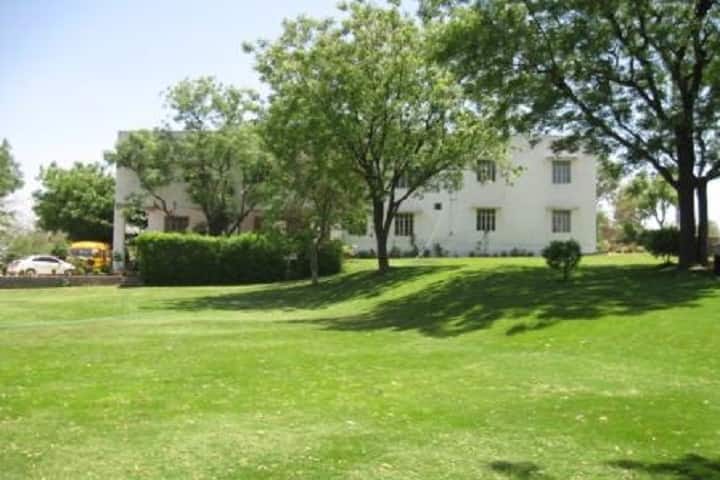 Pioneer Public School-Play Ground