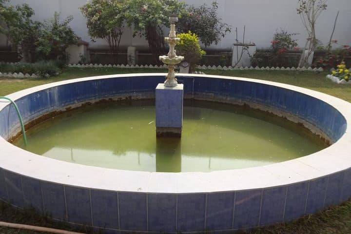 Lord Buddha Public School-Fountain