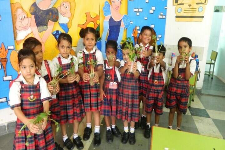 Seedling Public School-Plantation Activity