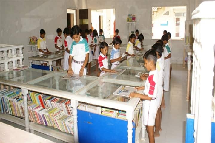 Shekhawati International Academy-Library