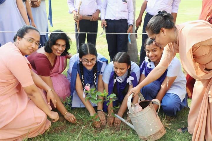 Sophia Girls Senior Secondary School-Others plantation