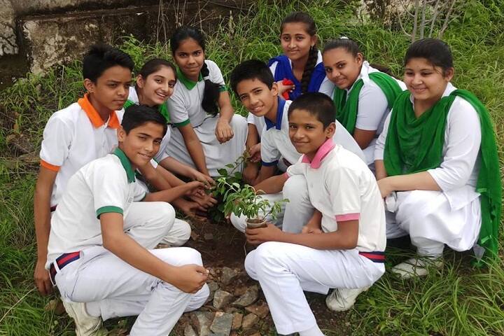 Sophia Public Senior Secondary School-Others plantation
