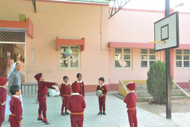 Sophia Secondary School-Sports basketball