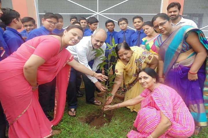 St Anselms School-Plantation