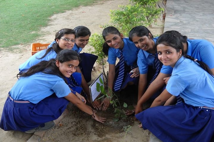 St Vivekanand Senior Secondary School-Others plantation