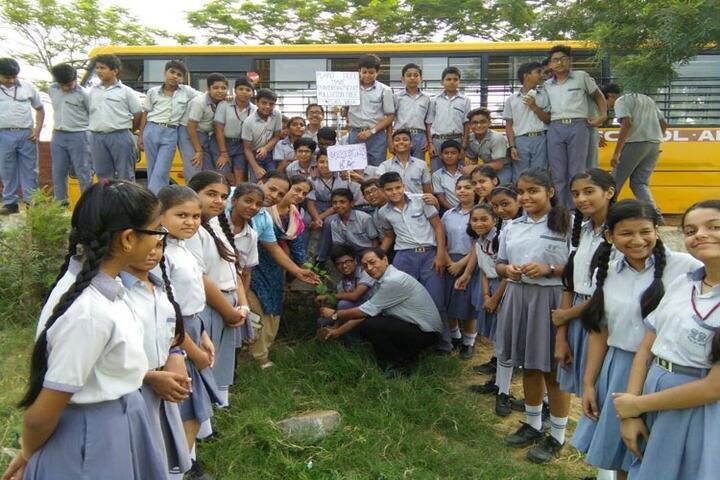 Step by Step Public School Alwar-Plantation