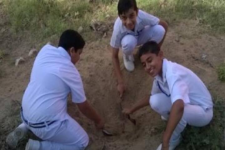 Suratgarh Thermal Dav Public School-Others plantation