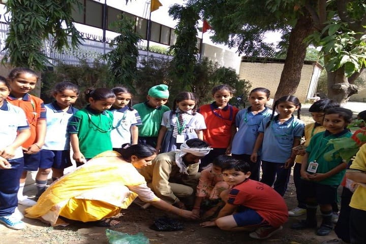 Swami Keshwanand Memorial Public School-Others plantation