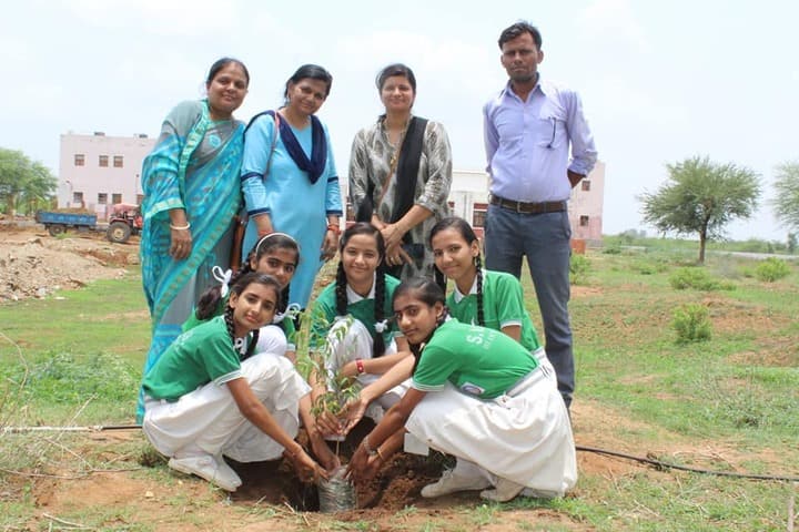 Swami Vivekanand Government Model School-Tree-Plantation