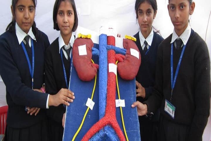 May Flower School- Science Lab