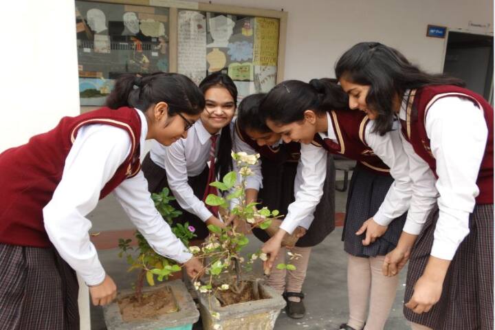 Tagore International School-Tree Plantation Activity