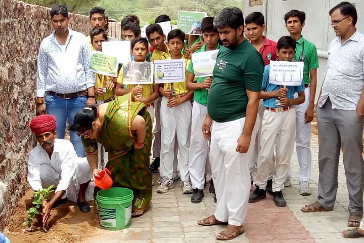 Thar School-Tree Plantation