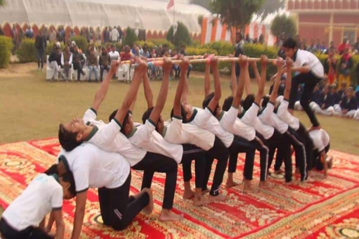 The Trigat School-Activity