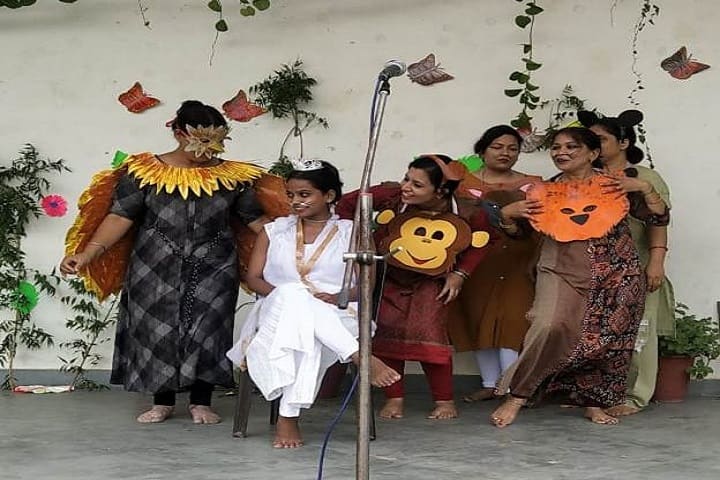 Vijay Laxmi Memorial Public School-Fancy Dress