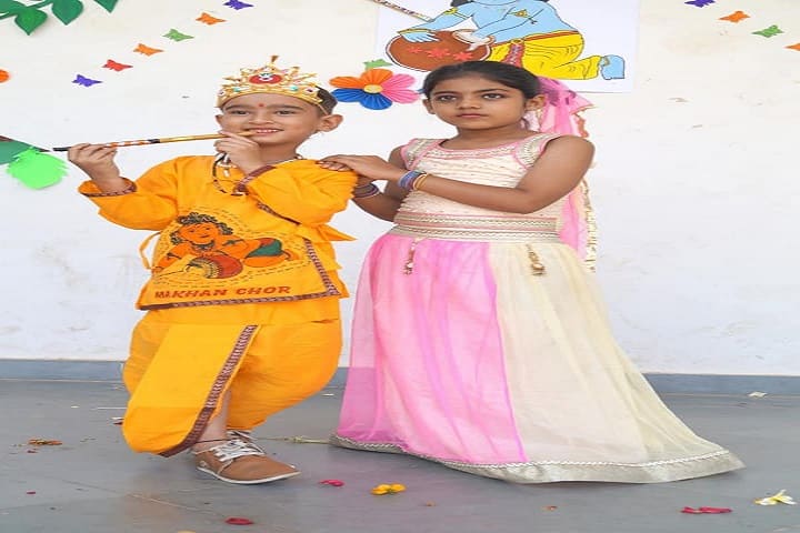Vijay Laxmi Memorial Public School-Festivals
