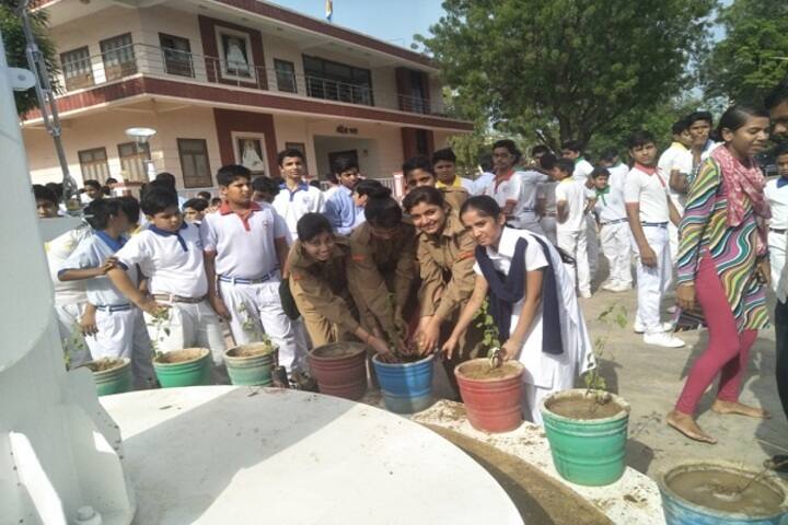 Vimal Vidya Vihar Senior Secondary School-Plantation