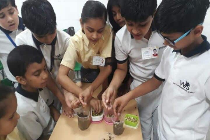 Witty International School-Science Activity