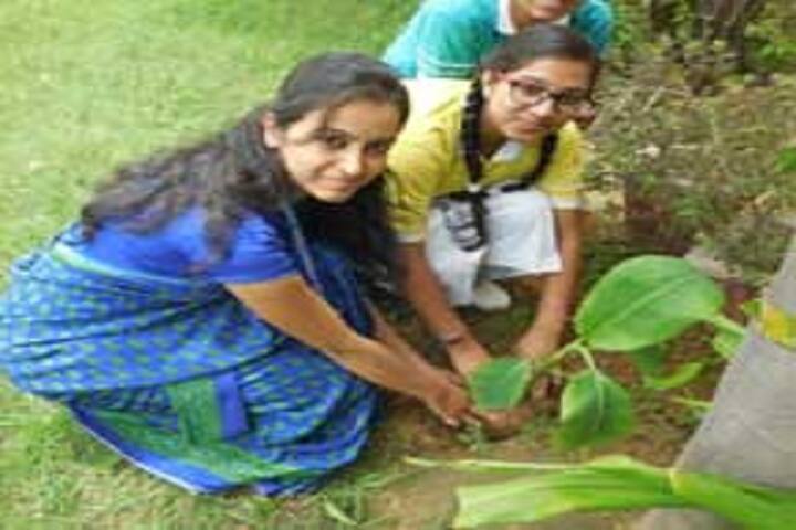 Yugantar International School-Tree Plantation