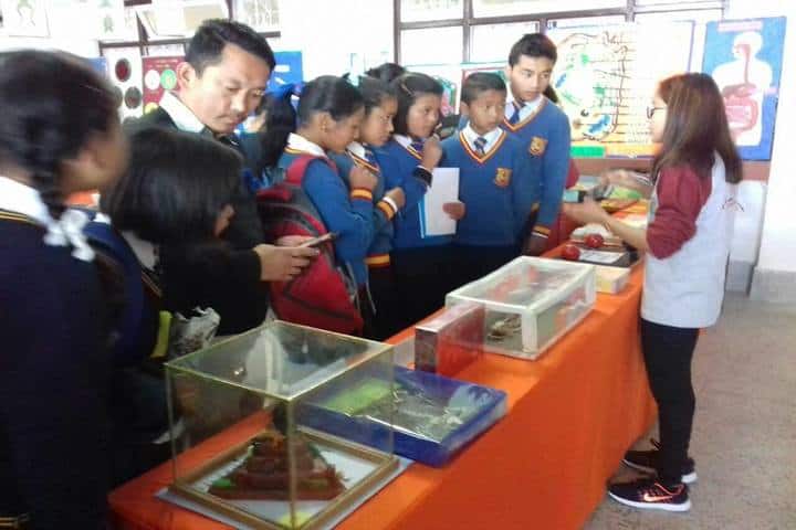 Government Secondary School-Exhibition