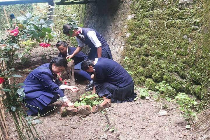Government Secondary School-Tree Plantation