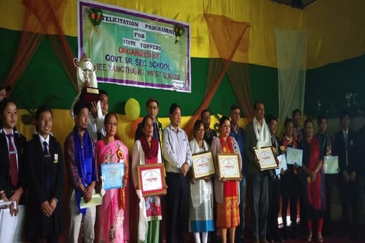 Government Senior Secondary School-Achievement