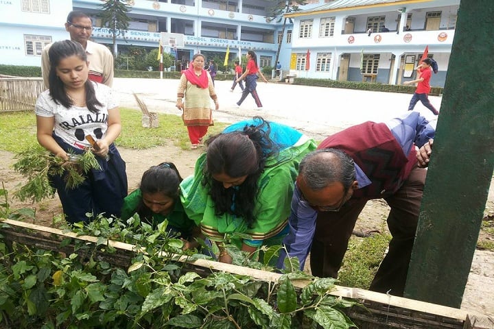 Government Senior Secondary School-Plantation