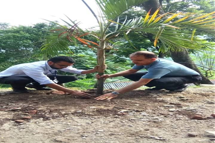 Government Secondary School-Tree Plant