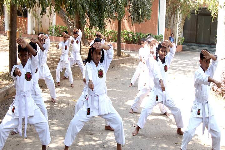 Akg Public School-Karate